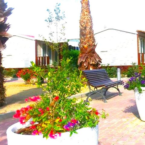 BUNGALOW 6 personnes - PALMERES 6 pers