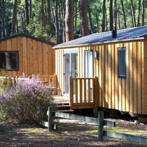 BUNGALOW 6 personnes - COTTAGE PREMIUM - Les Genêts | 4-6 pers.