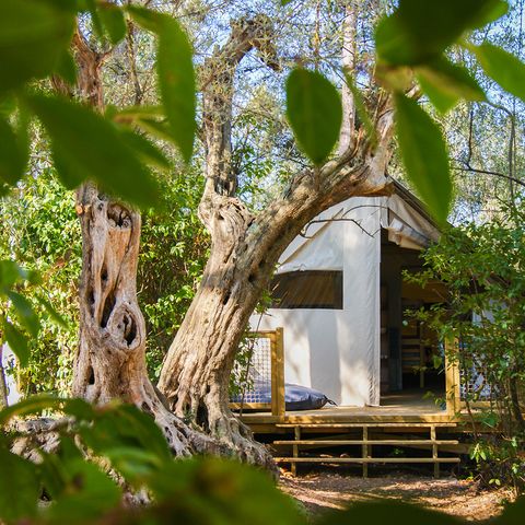 LODGE 5 personnes - Lodge CANNELLE 21m² (2 chambres)