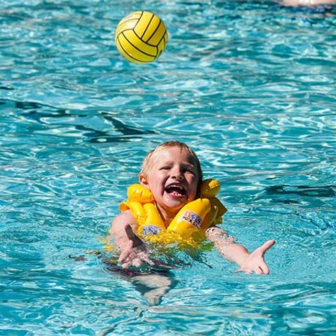 Camping Les Rives du Luberon - Camping Vaucluse - Image N°5