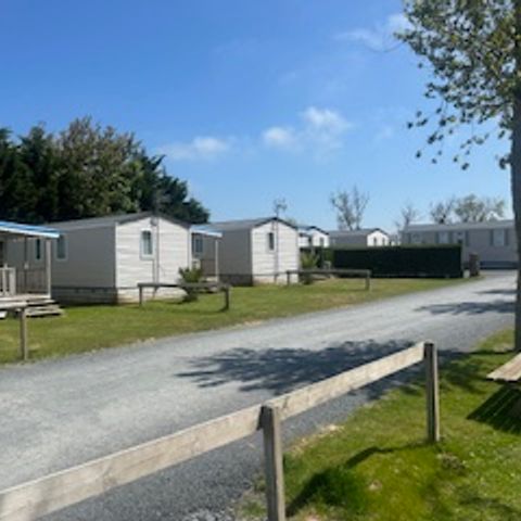 BUNGALOW 6 personnes - 6 Confort Plus - 31m² - 3 chambres + terrasse semi-couverte