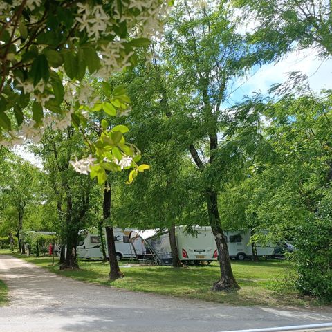 Camping La Digue - Camping Ardèche - Image N°5