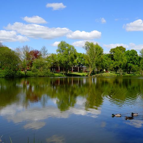 Camping du Mûrier - Camping Mayenne - Image N°6