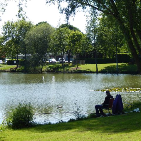 Camping du Mûrier - Camping Mayenne - Image N°3