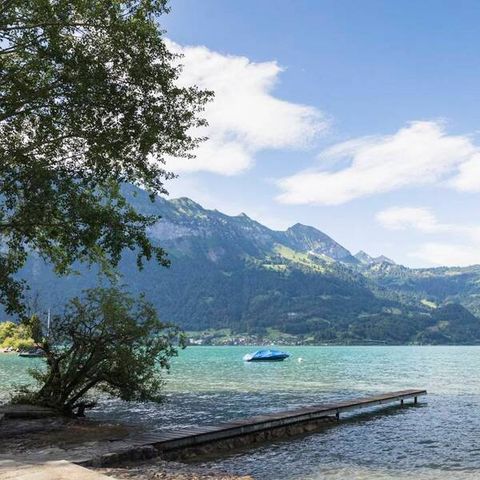 Camping Manor Farm - Camping Oberland Bernois - Image N°4