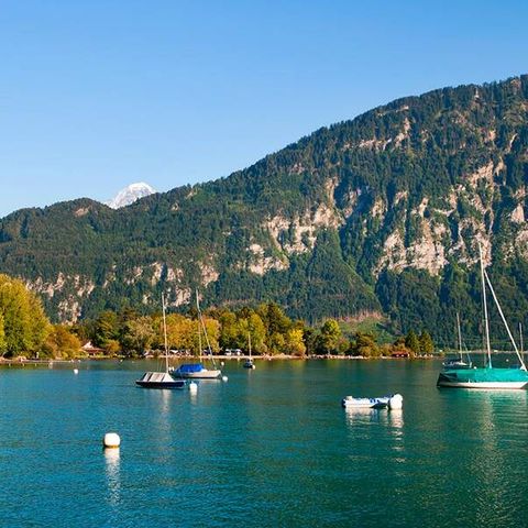 Camping Manor Farm - Camping Oberland Bernois - Image N°2