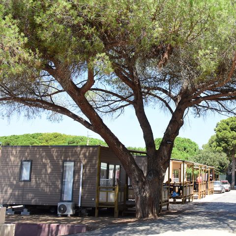Camping Tikayan le Méditerranée - Camping Var - Image N°4