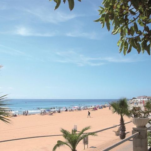 Camping Alannia Costa Dorada - Camping Tarragone - Image N°3