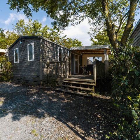 BUNGALOW 4 personnes - STANDARD - TV