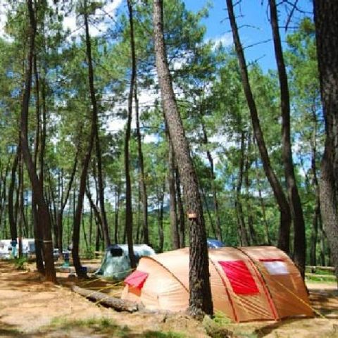 Emplacement - Emplacement en camping