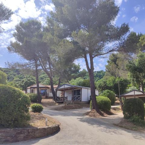 Camping Versants (anciennement Parc des Chênes) - Camping Var - Image N°4