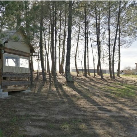 HÉBERGEMENT INSOLITE 2 personnes - Hutte Cévenole 2p 1Ch