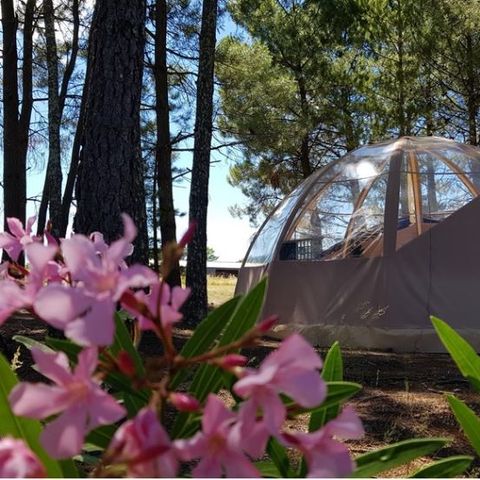 TENTE 4 personnes - Bulle Etoile d'Ardèche 4P