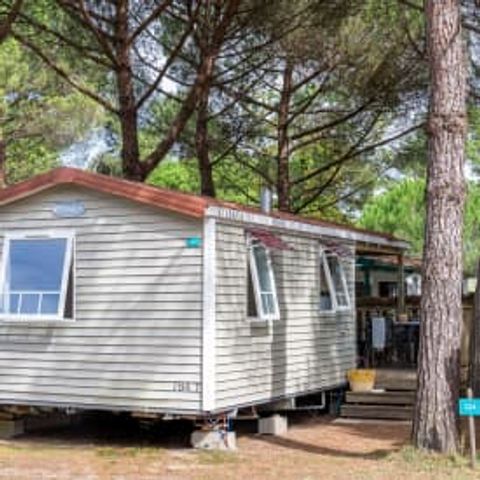BUNGALOW 4 personnes - Cottage Pin 4p 2ch ***