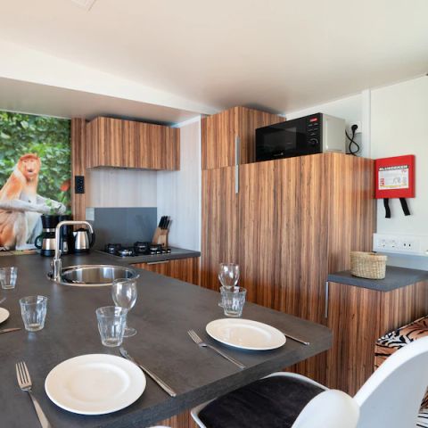 Mobilhome 5 personnes - Catalpa