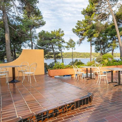 Camping Poljana  - Camping Istrie - Image N°5