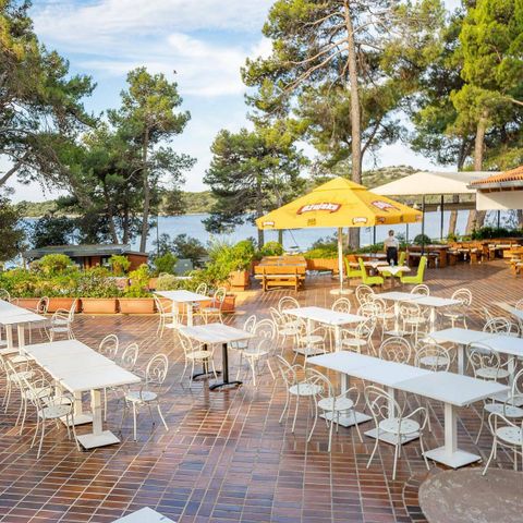 Camping Poljana  - Camping Istrie - Image N°4