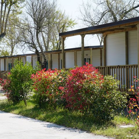 BUNGALOW 5 personnes - Lodge Superior Dog