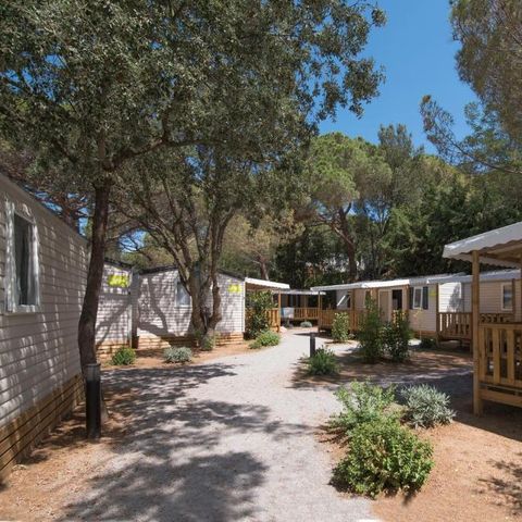 Camping Santa Elena Ciutat - Camping Gérone - Image N°6