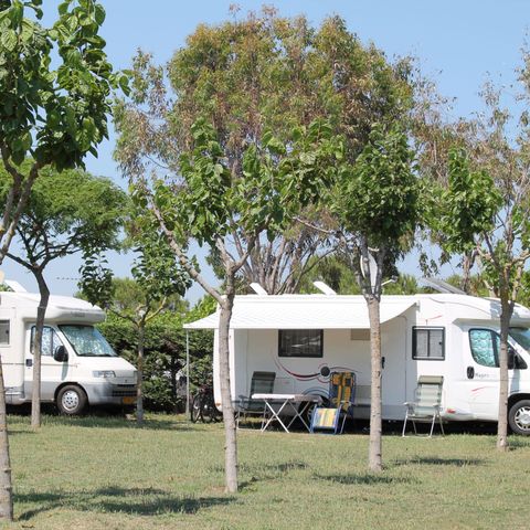 Emplacement - Emplacement : voiture + tente ou caravane + électricité 2/8 pers