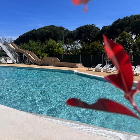 Camping La Provençale - Camping Alpes-Maritimes - Image N°3