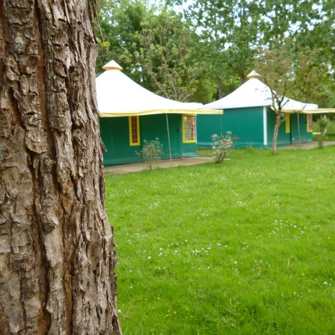 BUNGALOW TOILÉ 5 personnes - KIWI Sans sanitaires