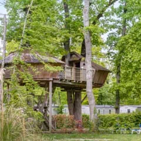 Unique 5 personnes - Cabane dans les arbres