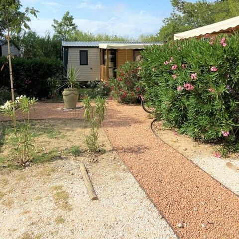 BUNGALOW 4 personnes - FAMILY LUXE 24m2
