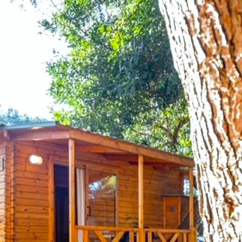 CHALET 3 personnes - Chalet Bonsai