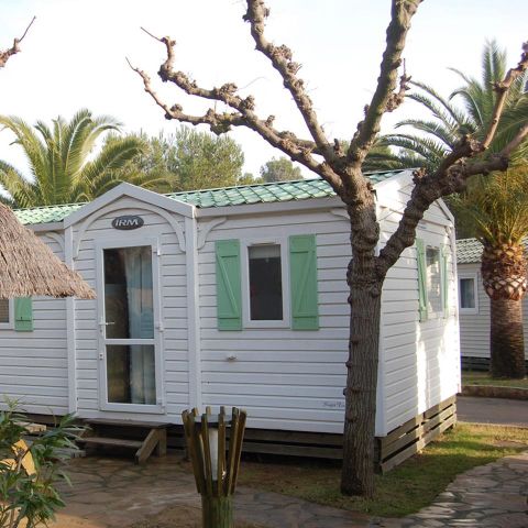 BUNGALOW 6 personnes - Cottage Acacia (Lux)