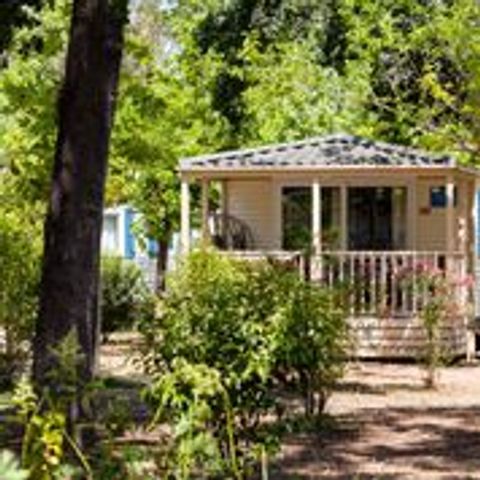 BUNGALOW 6 personnes - Family