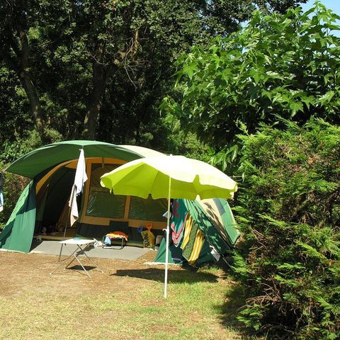 Emplacement - Emplacement | Essential | Tente | Véhicule -7m | <100m² | Electricité | Pas d'eau