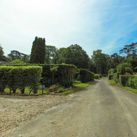 Camping des Bondons - Camping Seine-et-Marne - Image N°5