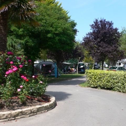 Emplacement - Emplacement + voiture + douches chaudes + électricité 15A