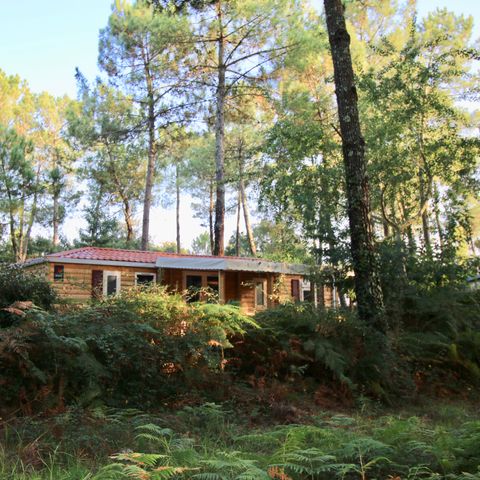 LODGE 6 personnes -  Cottage Loggia "Vue forêt" 6p - 3 chambres - TV - Climatisation