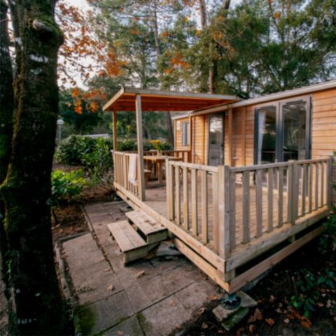 BUNGALOW 4 personnes - CALEDONIA 2ch 4pers