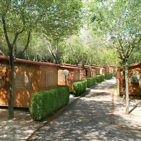 CHALET 6 personnes
