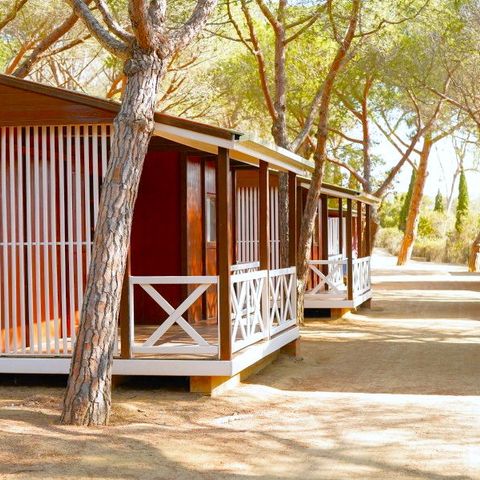 BUNGALOW 6 personnes - Campitel