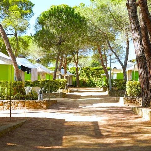 TENTE 4 personnes - Trigano