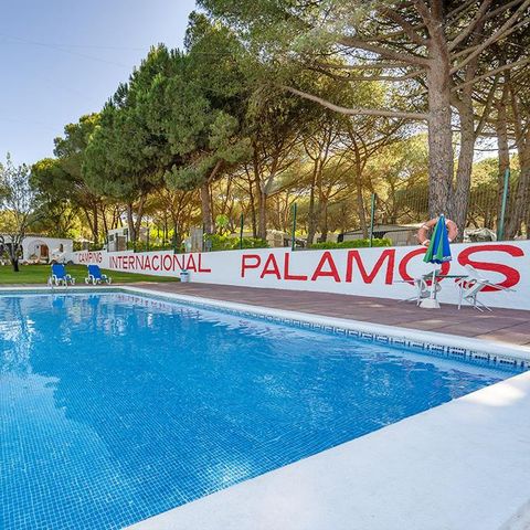 Camping Internacional Palamos - Camping Gérone - Image N°6