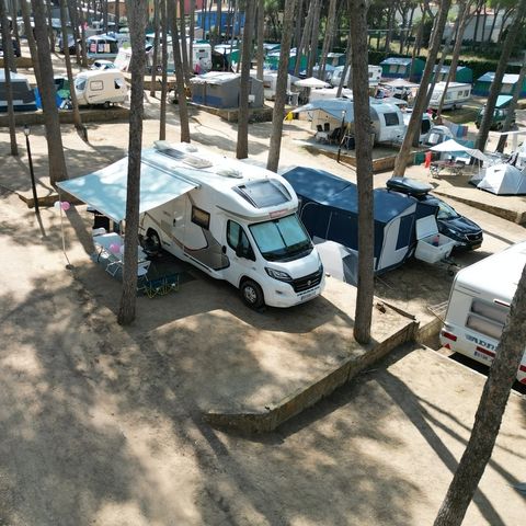Emplacement - Standard Basic - 45-60m2 - : voiture - Caravane ou camping-car ou tente - Électricité