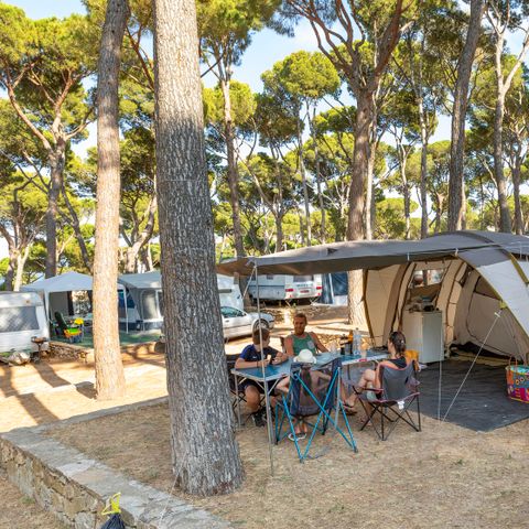 Emplacement - Standard Tente - 40-55m2 - : voiture - Tente - Électricité