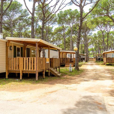 Alannia Neptuno - Camping Gérone - Image N°4