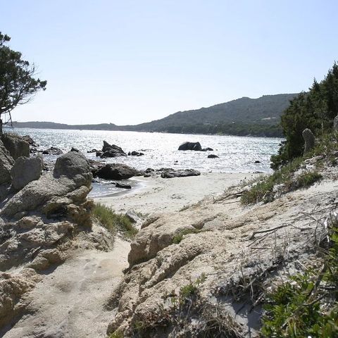 Camping Kevano Plage - Camping Corse du Sud - Image N°3