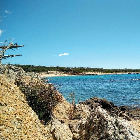 Camping Kevano Plage - Camping Corse du Sud - Image N°2