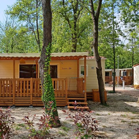 BUNGALOW 5 personnes - Sequoia