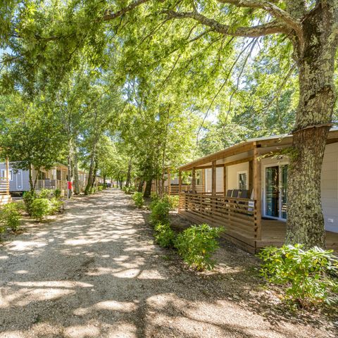 BUNGALOW 4 personnes - Bijela Uvala - Mobile home Porec