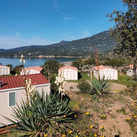 Chalet 5 personnes - Chalet Standart - Samedi - Courts séjours
