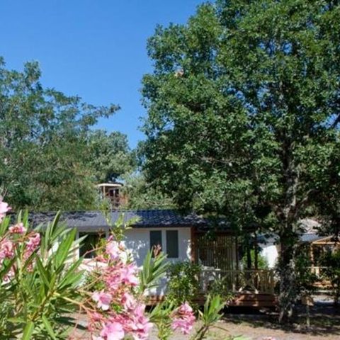 CHALET 5 personnes - CONFORT CERISIER