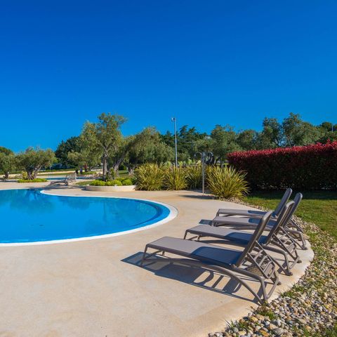 Camping Polari - Camping Istrie - Image N°3